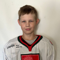 Vladimirs Artjuhovs