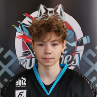 Vladimirs Boroviks
