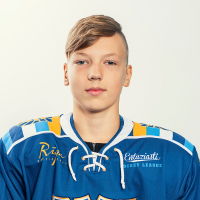 Vladislavs Antipenko
